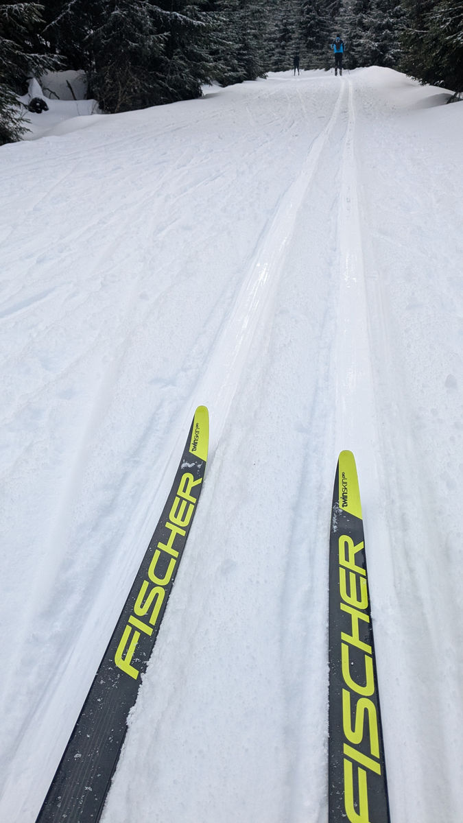 Wohin für Langlauf Skifahren in Kvilda - aktuelle Stand der Strecken