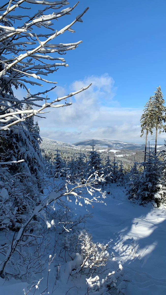 Most - Gerlova Hut, Šumava