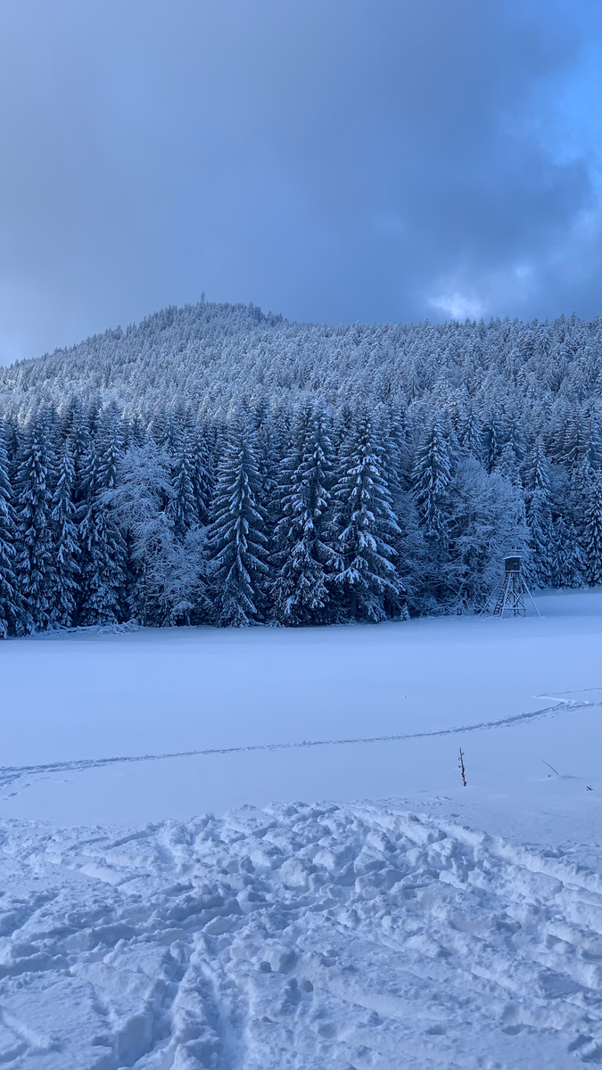 Most - Gerlova Hut, Šumava
