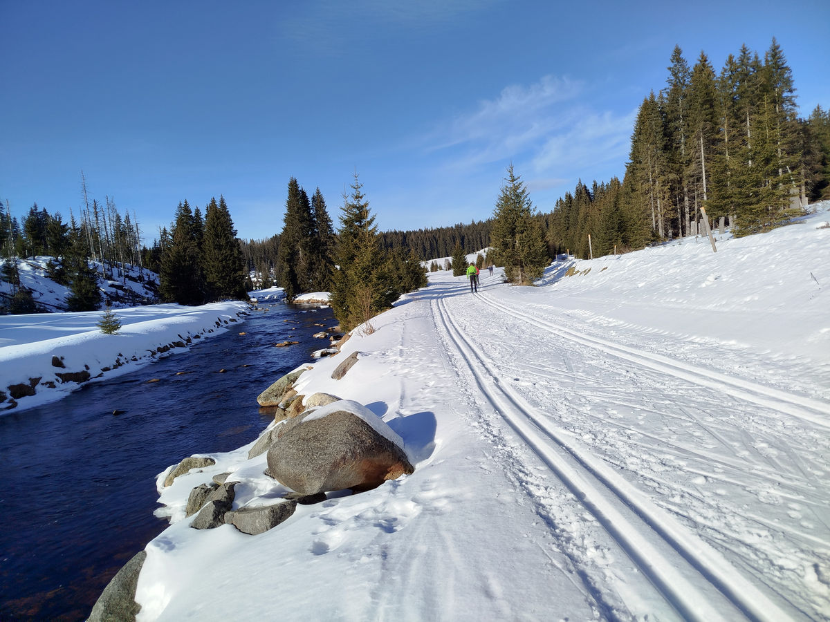 Angepasste Gleislage im Blauen Meer, Gleislage