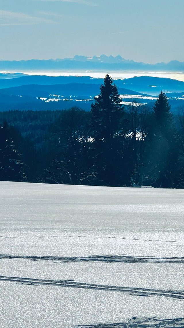 Wohin für Langlauf Skifahren - aktuelle Stand der Strecken - Bučina