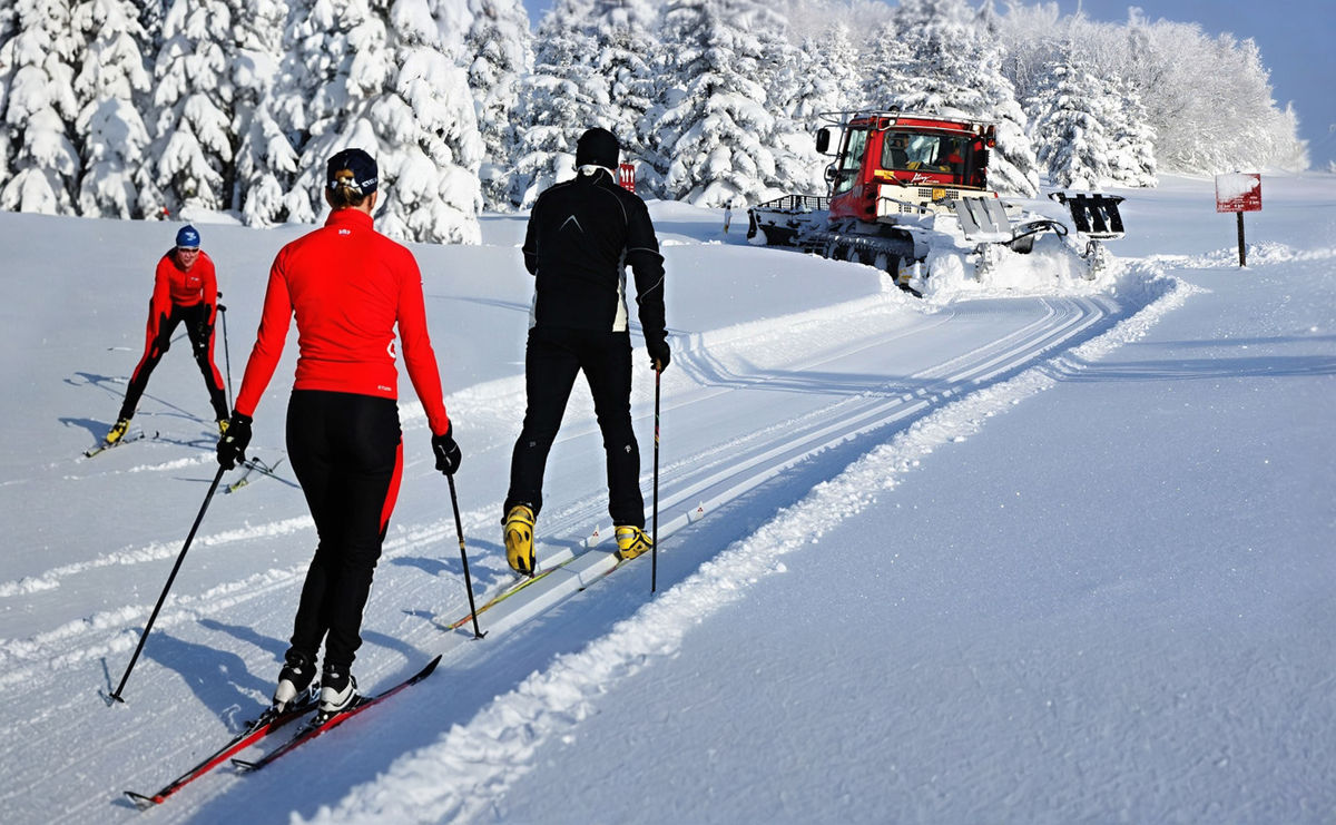 Runners - Tips for the trip - God's Dar, Loučná, Planes, Klínovec, Dlouhá Louka, Bublava, Prouz, Lesná, Pernink, Abertamy, Tin Man