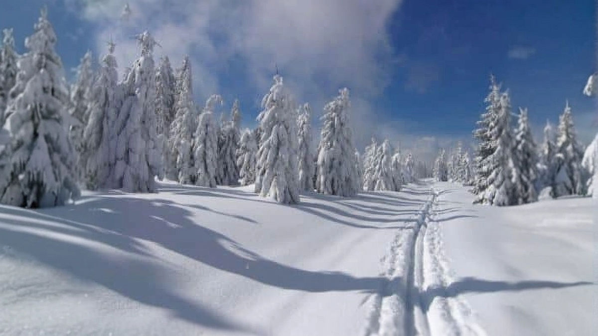Šumava, zima - běžky Polom