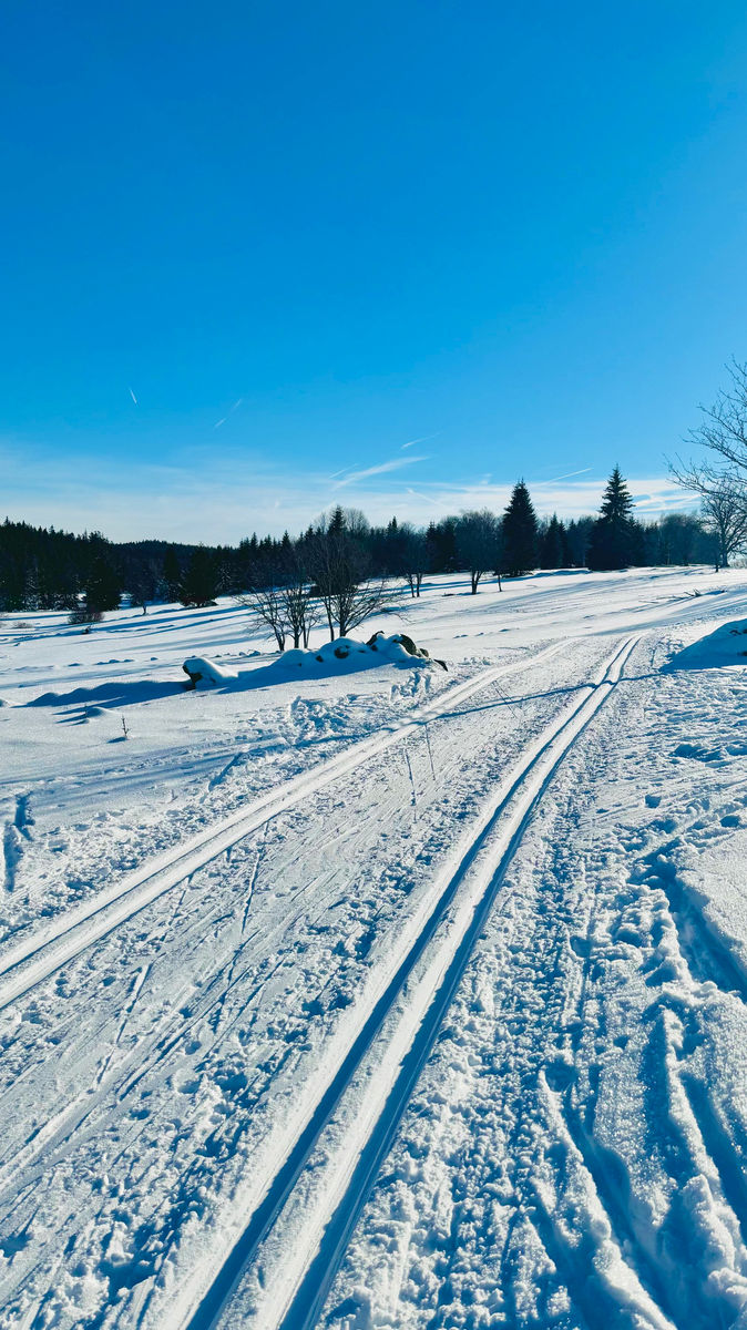 Princes Planes - Cross country - Šumava Vestope.cz