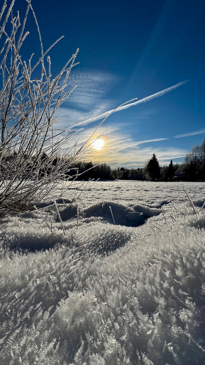 Runners - Borová Lada Šumava - Vestope.cz