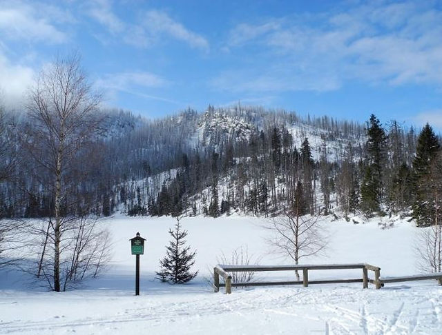 Běžky - Plešné jezero