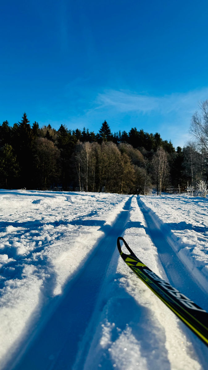 Runners - Borová Lada Šumava - Vestope.cz