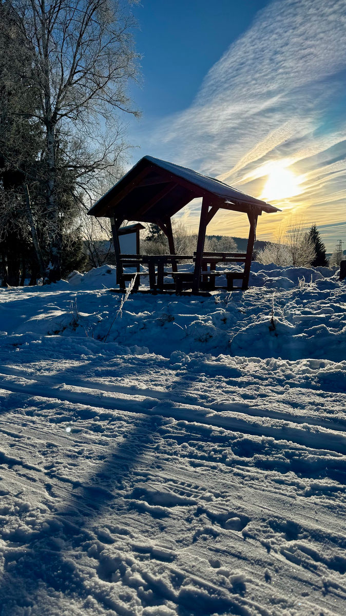 Runners - Borová Lada Šumava - Vestope.cz