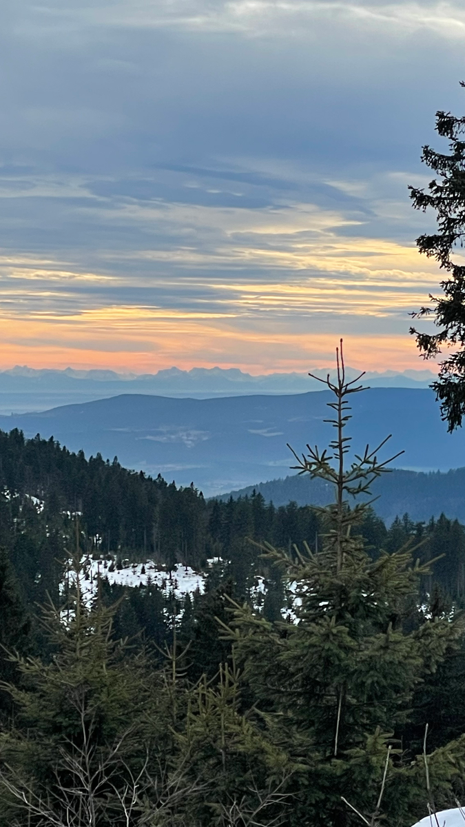 Laufen auf der Böhmischen Šumava - modifizierte Linien in der Nähe des bayerischen Rudy - Brettenschachten, Scheiben