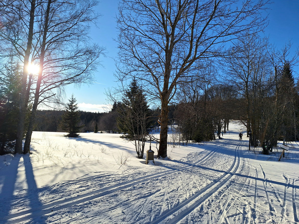 Modified track in Borová Lada, white track state