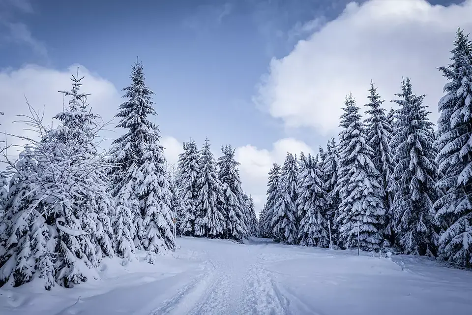 Šumava - běžky Prášily