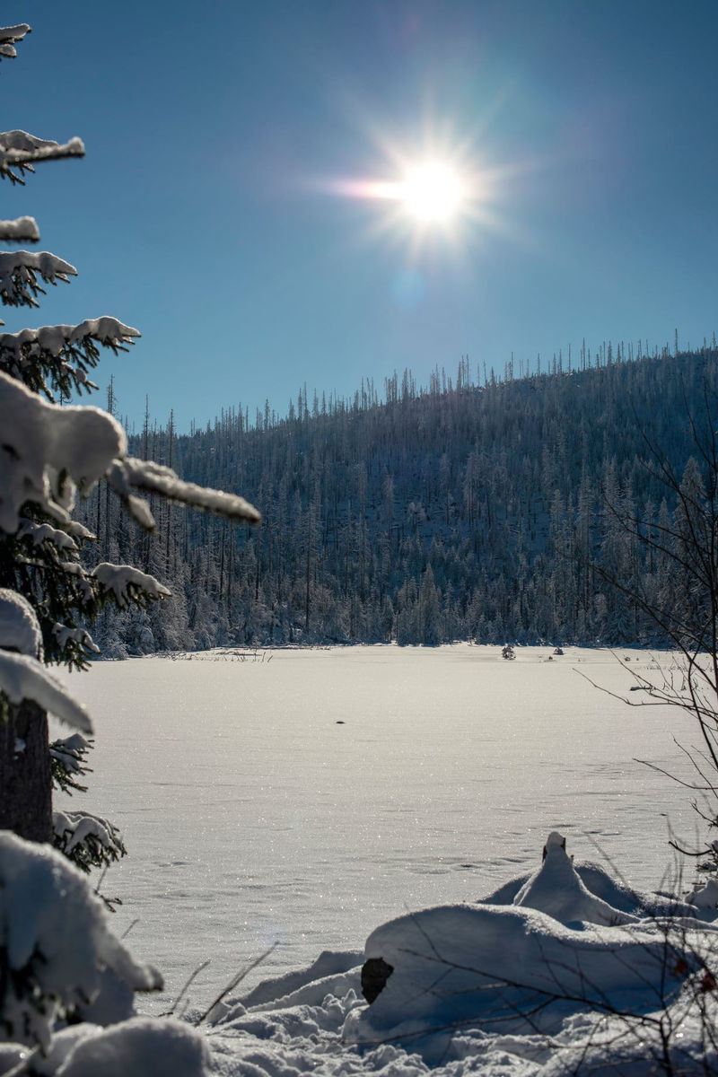 Šumava, zima - běžky jezero Laka