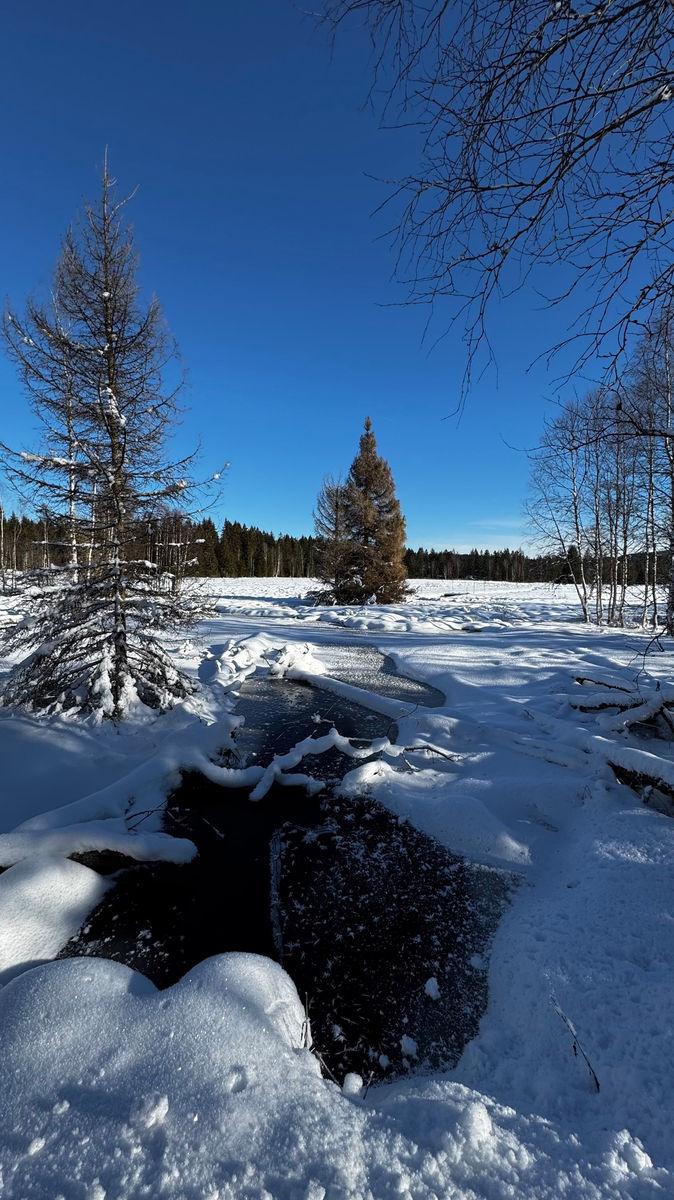 The Princes - Cross country - Šumava Vestope.cz