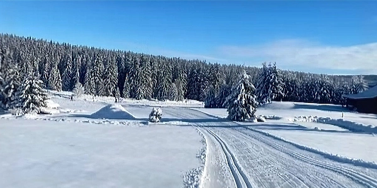 Blickrichtung auf einen verschneiten Waldzug auf Kvilda