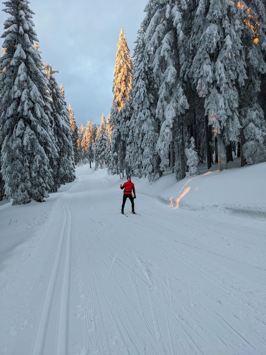 Laufen auf der Böhmischen Šumava - modifizierte Linien in der Nähe des bayerischen Rudy - Brettenschachten, Scheiben