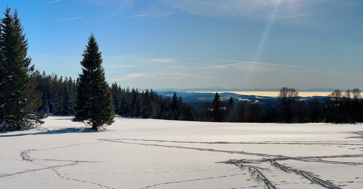 Wohin für Langlauf Skifahren in Kvilda - aktuelle Stand der Haltestelle - Alpenblick