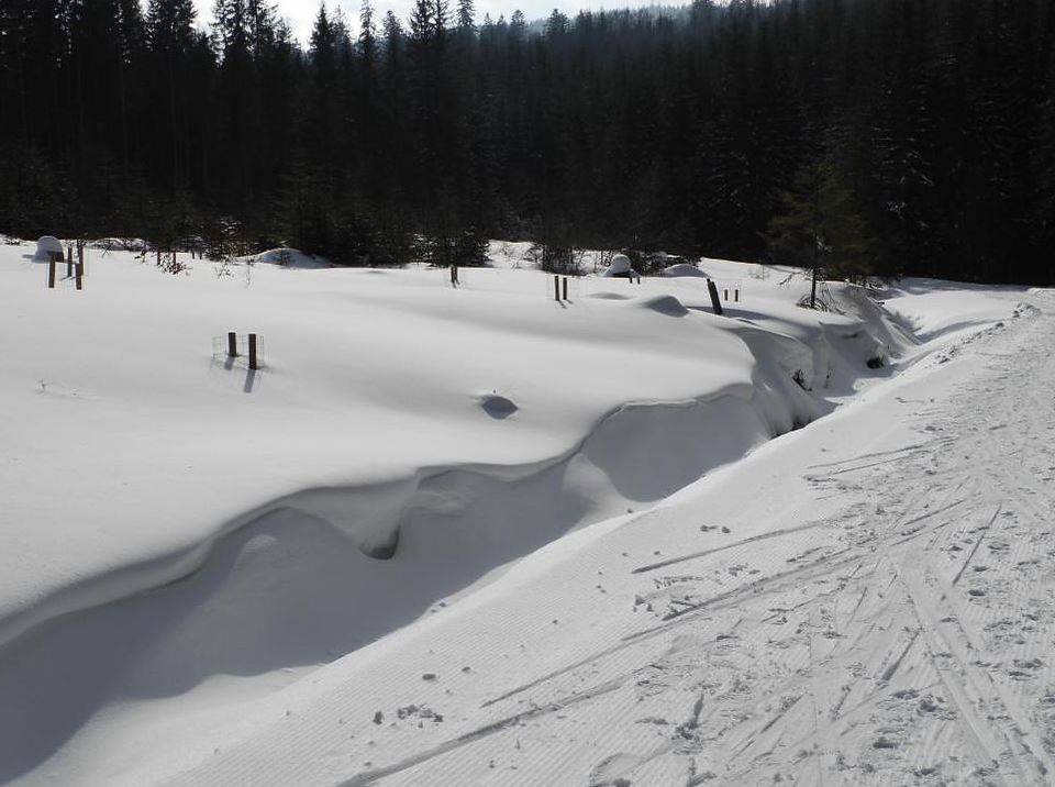 Výlet Nová Pec - Schwarzenberský kanál - běžky