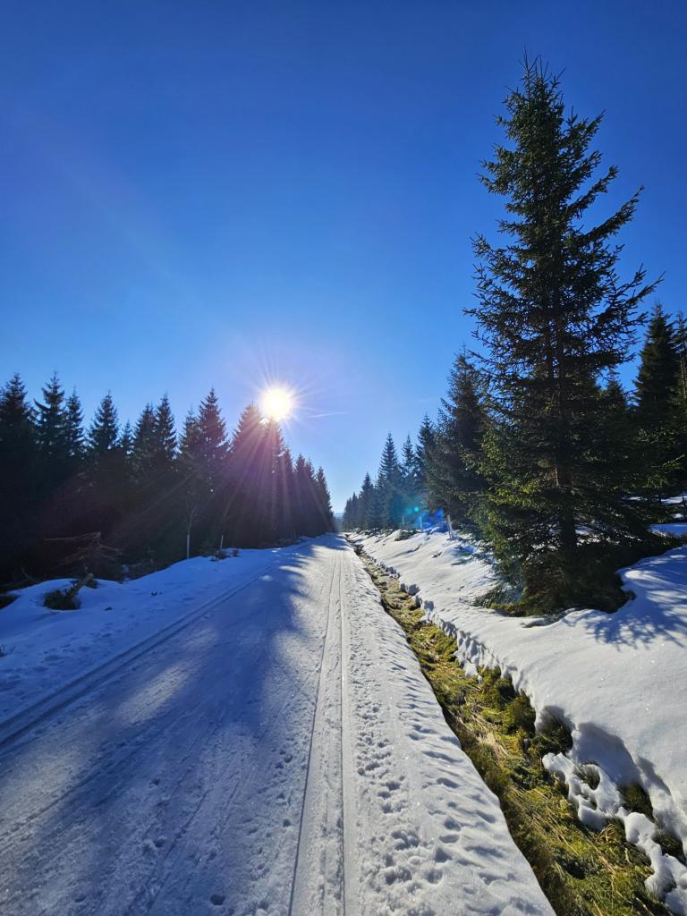 Sníh na Jizerské magistrále; foto Pavlína Krejzarová / Jizerská o.p.s.