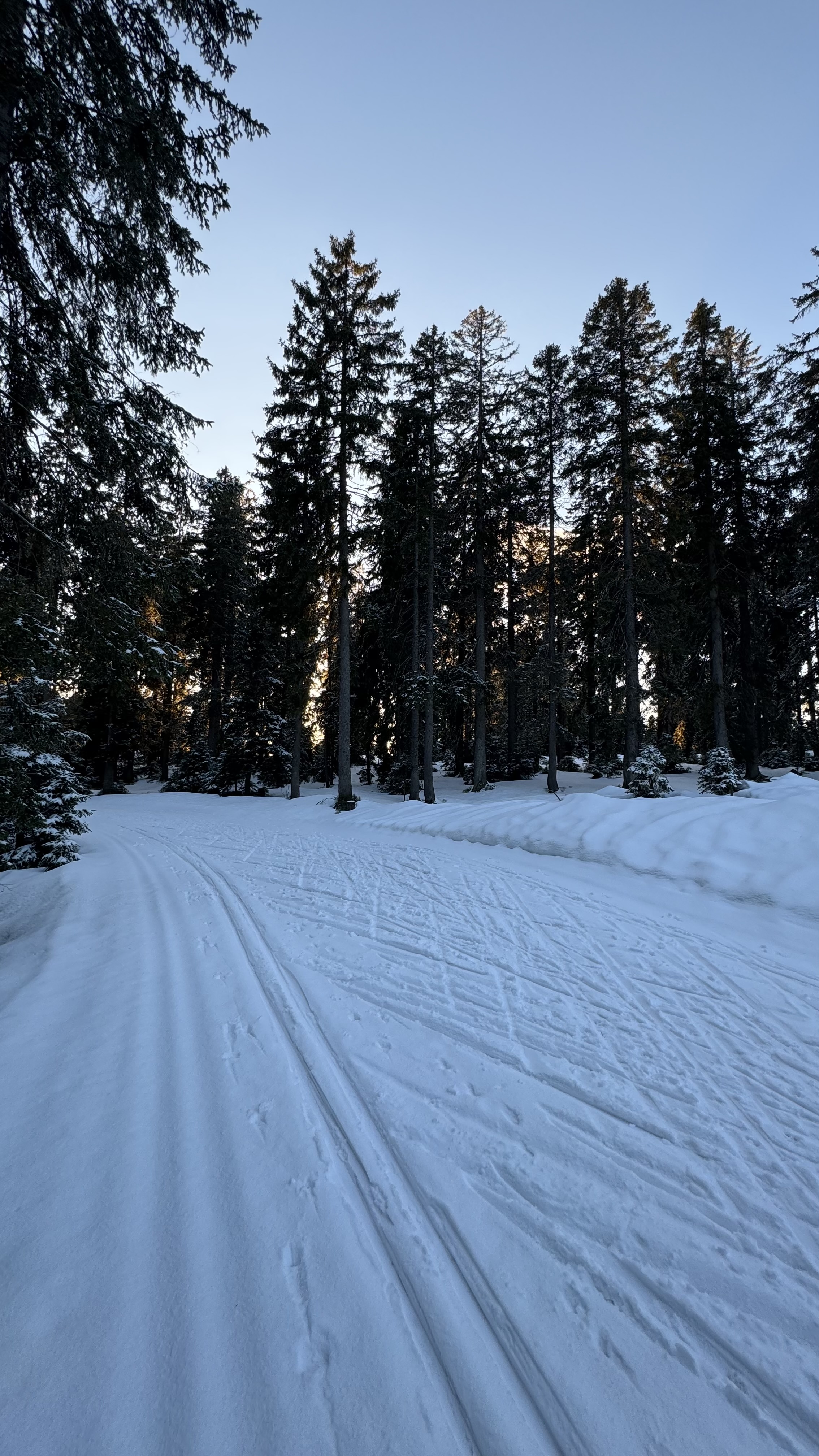 Photos from Marek