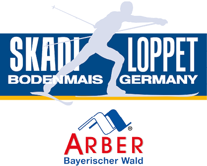 Skadi Logo