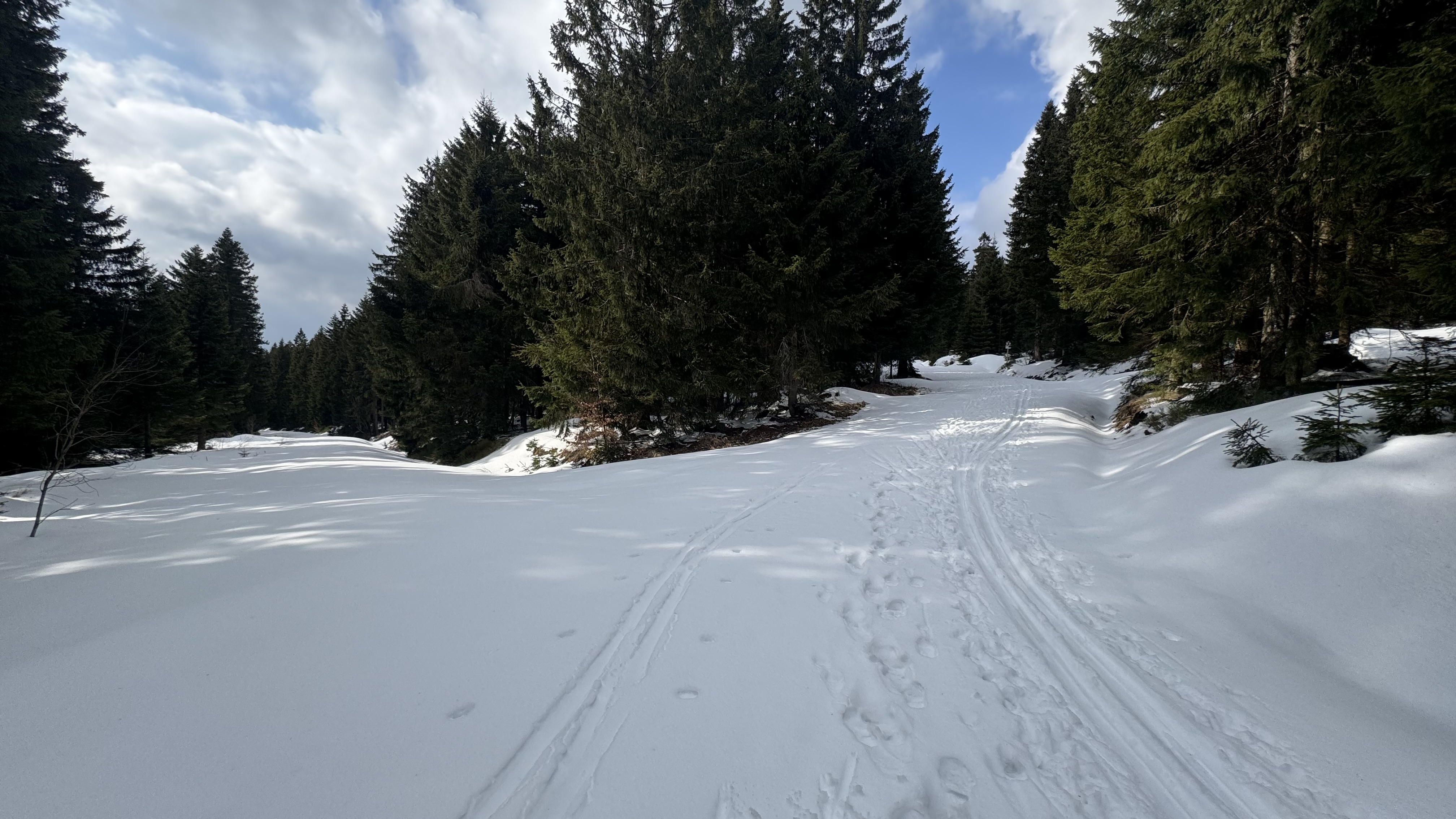 Photos from Radek