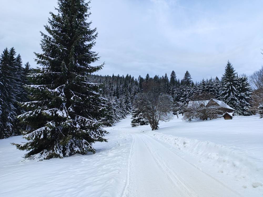 Foto: Konva · Beskydy