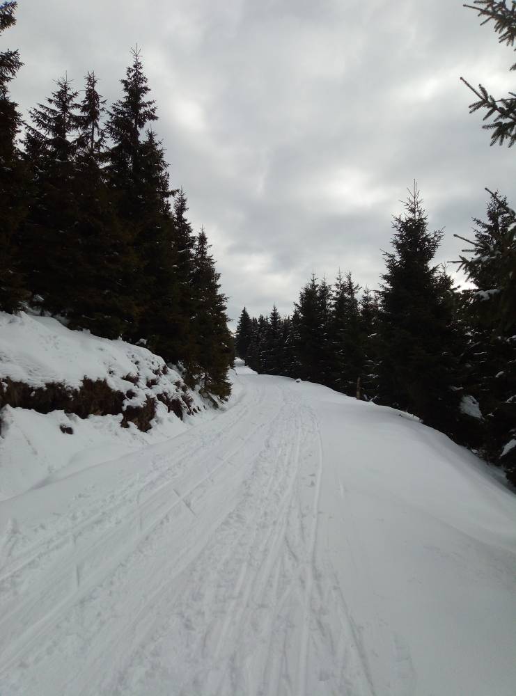 Foto: Jarda z Tvrzky · Jeseníky